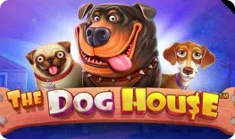 Nomini – The Dog House